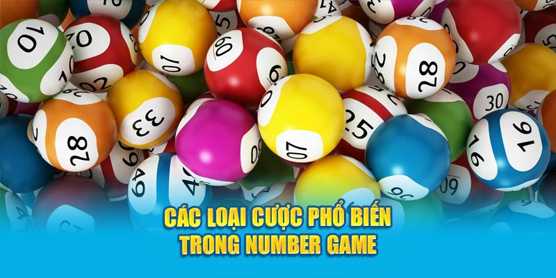 cac-loai-cuoc-pho-bien-trong-number-game