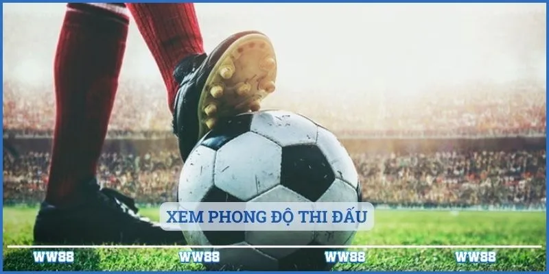 Xem phong độ thi đấu